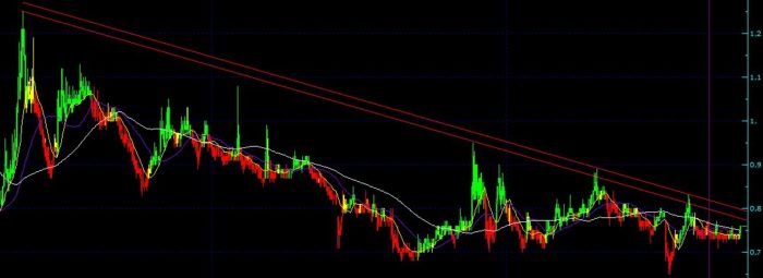 24 Ekim 2016 Yükselecek hisse senetleri tahmin yorum analiz