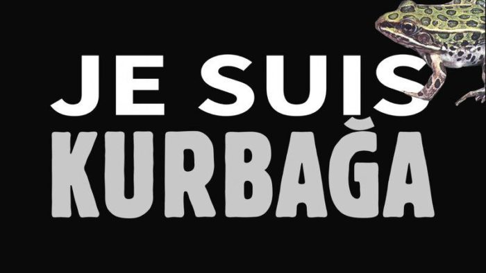 JeSuis Kurbağa Ne Demek Türkçesi ne?