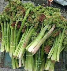 Uçkun/Işkın Şekere ve Tansiyona Faydalı mı?