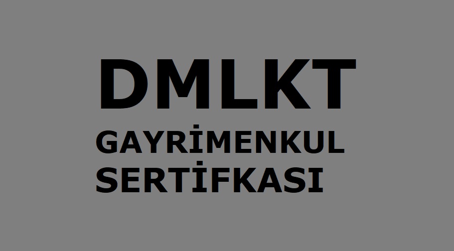 DMLKT Güncel Son Fiyat 14 Ağustos 2025